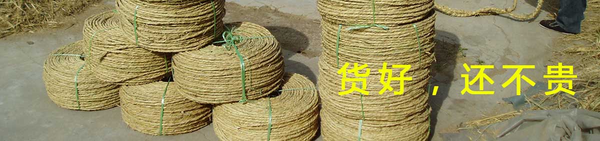 智博足球官网入口1919