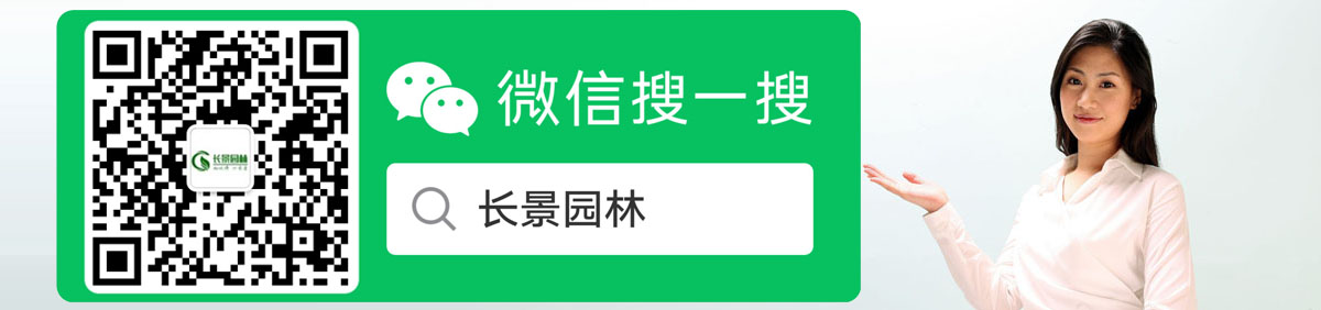 智博足球官网入口1919