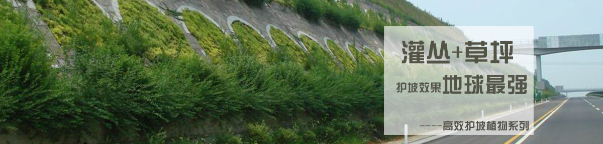 智博足球官网入口1919