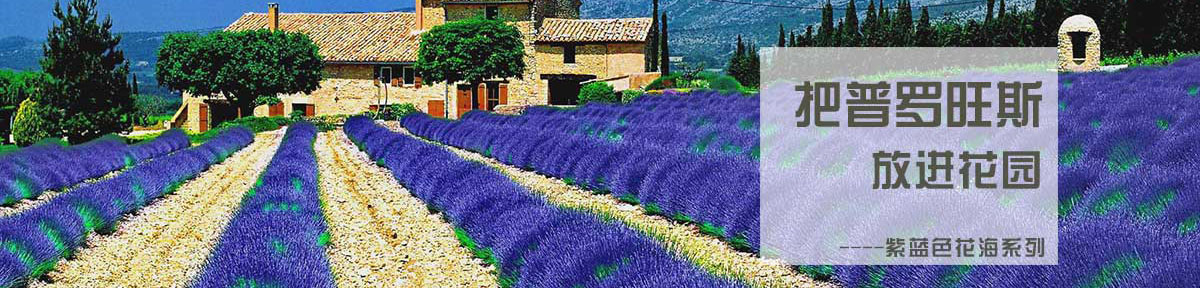 智博足球官网入口1919