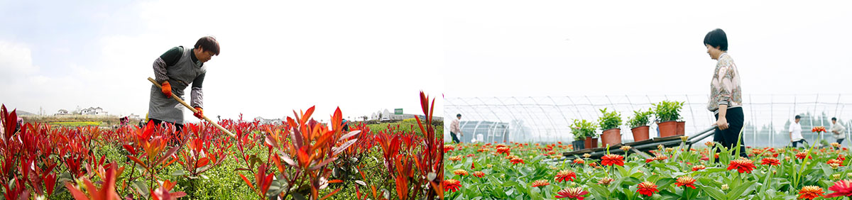 智博足球官网入口1919