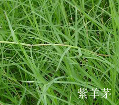 智博足球官网入口1919