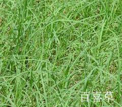 智博足球官网入口1919