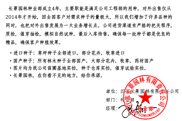 智博足球官网入口1919