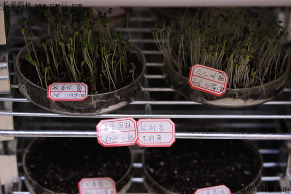 智博足球官网入口1919