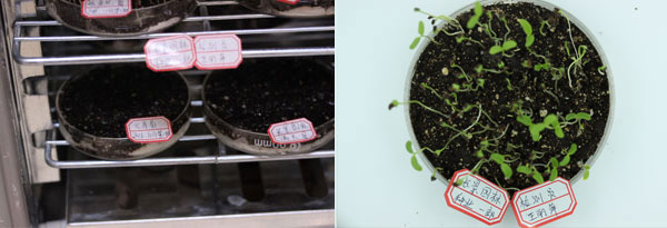 智博足球官网入口1919