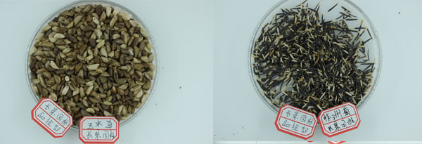 智博足球官网入口1919