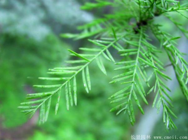 智博足球官网入口1919