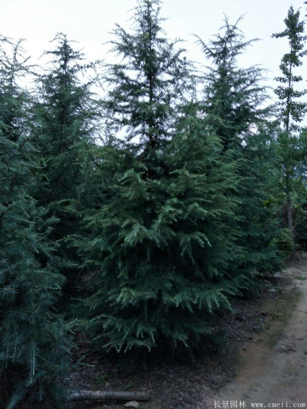 智博足球官网入口1919