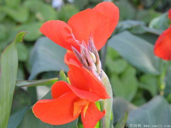 智博足球官网入口1919