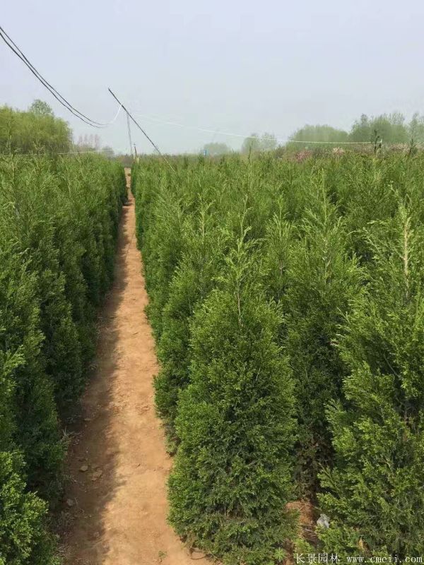 智博足球官网入口1919