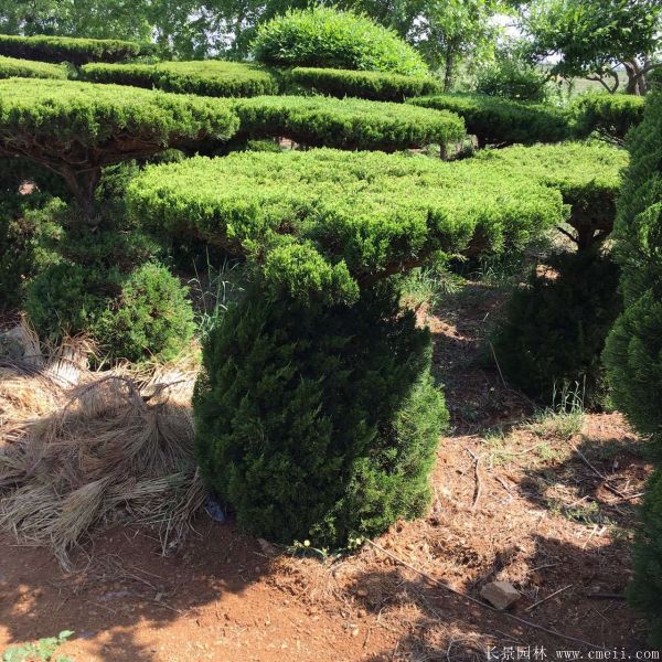 智博足球官网入口1919