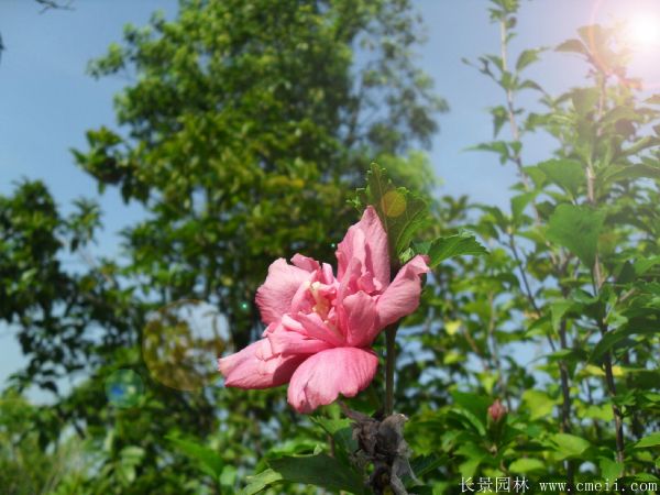 智博足球官网入口1919