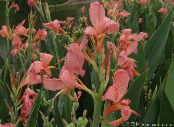 智博足球官网入口1919