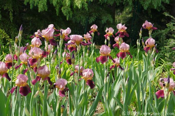 智博足球官网入口1919