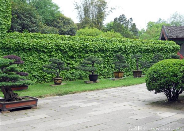 智博足球官网入口1919