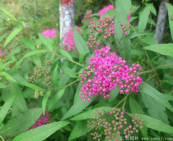 智博足球官网入口1919