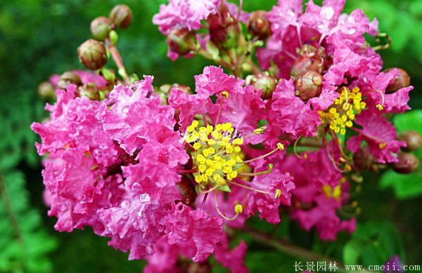 智博足球官网入口1919