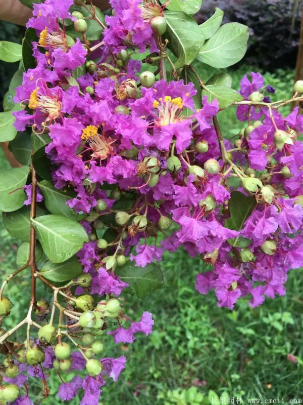 智博足球官网入口1919