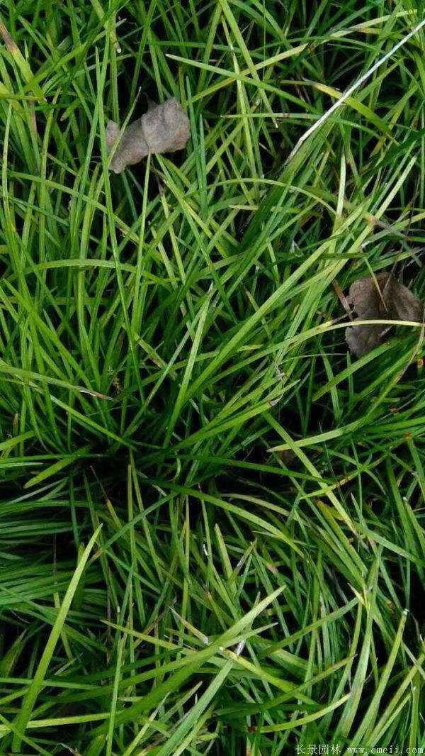 智博足球官网入口1919