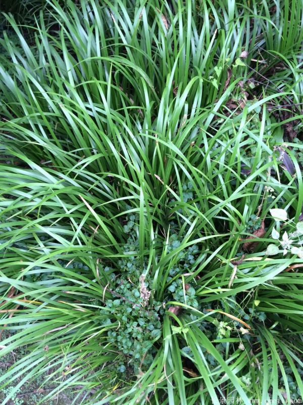 智博足球官网入口1919