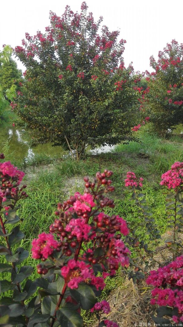 智博足球官网入口1919