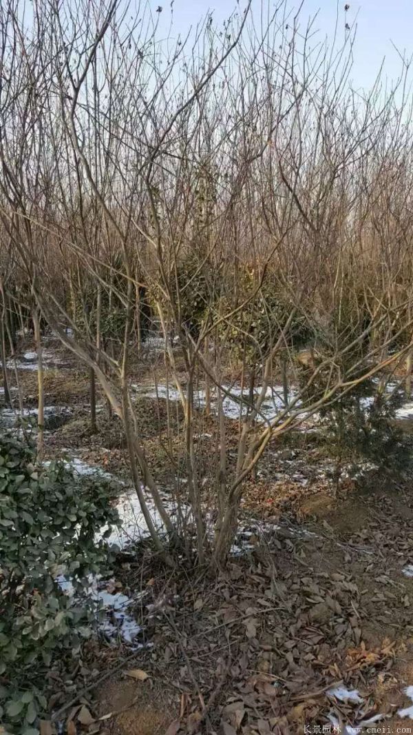 智博足球官网入口1919