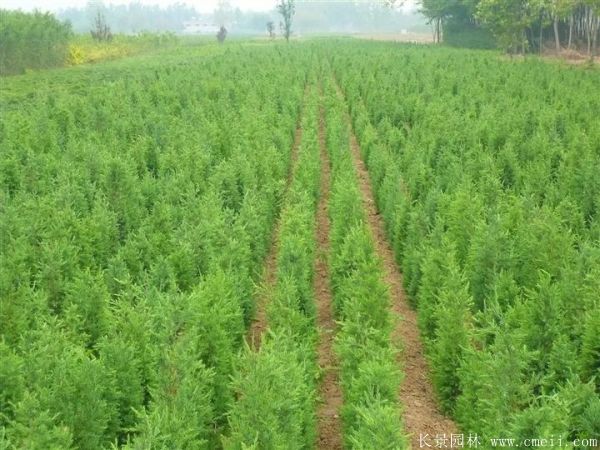 智博足球官网入口1919