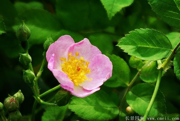 智博足球官网入口1919