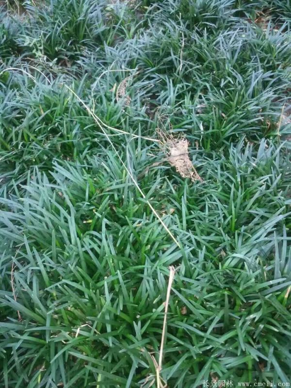 智博足球官网入口1919