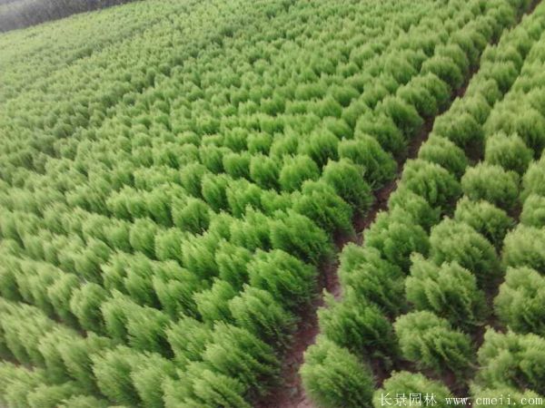 智博足球官网入口1919