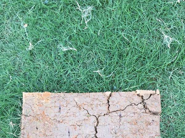 智博足球官网入口1919