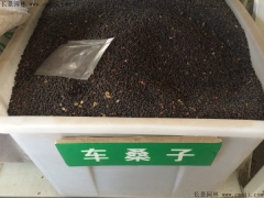 伟德国际victor1946