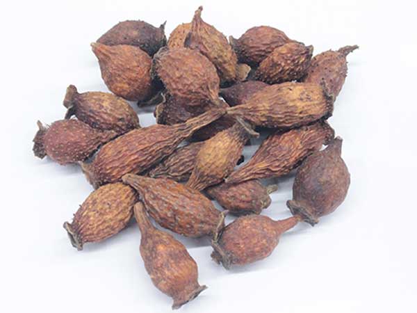 金樱子种子图片