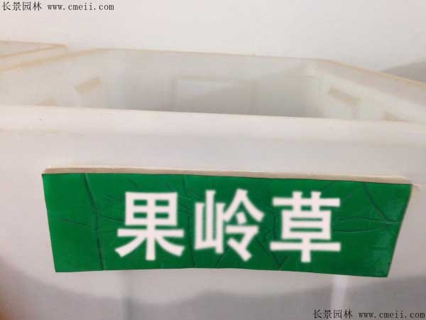 智博足球官网入口1919