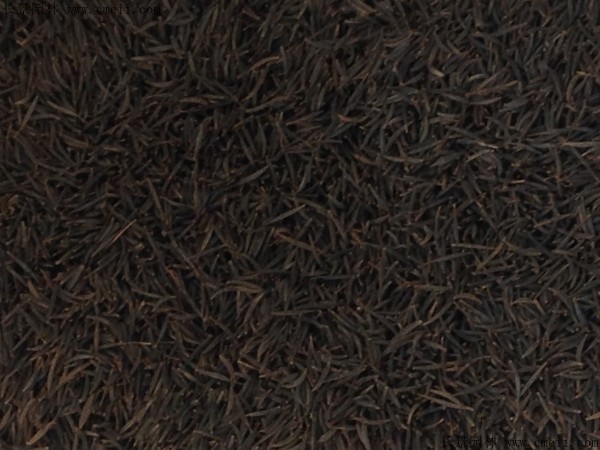 格桑花种子图片