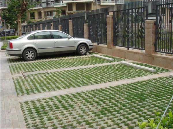 停车场草坪种植草坪种子绿化