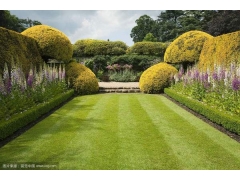 花园草坪_庭院家庭_别墅私家园林