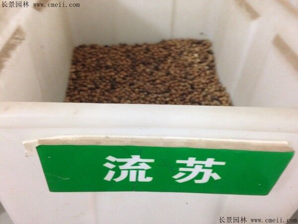 智博足球官网入口1919