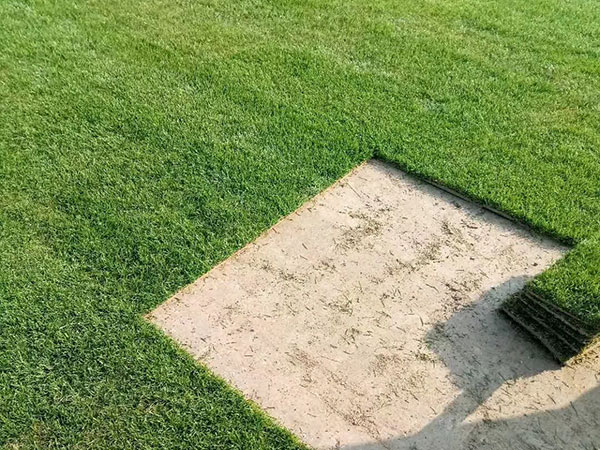 云顶国际vip8866官网图片