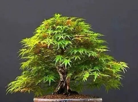 1675198465684314.jpg 微信图片_20230201045323.jpg