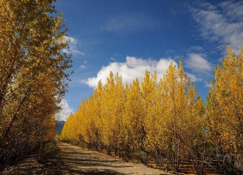 智博足球官网入口1919