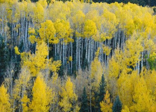 智博足球官网入口1919