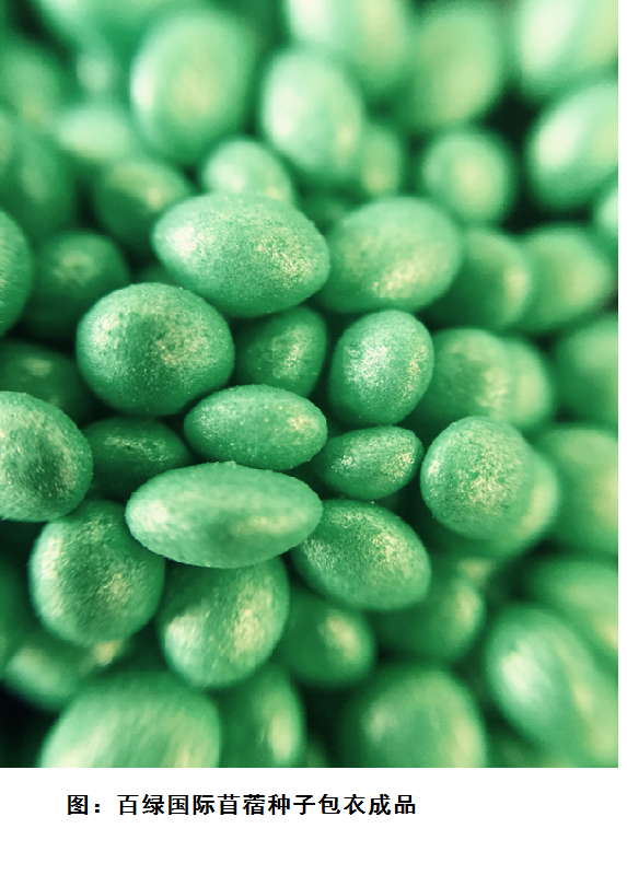 智博足球官网入口1919