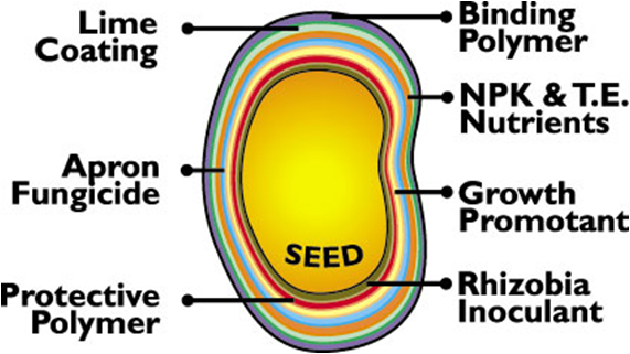 智博足球官网入口1919