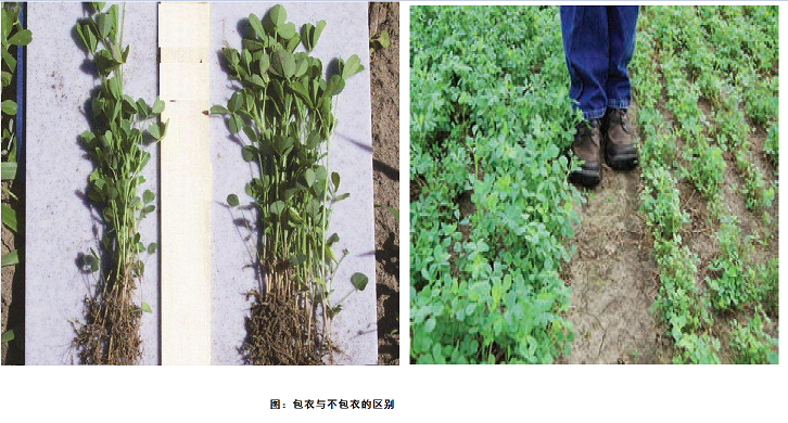 智博足球官网入口1919