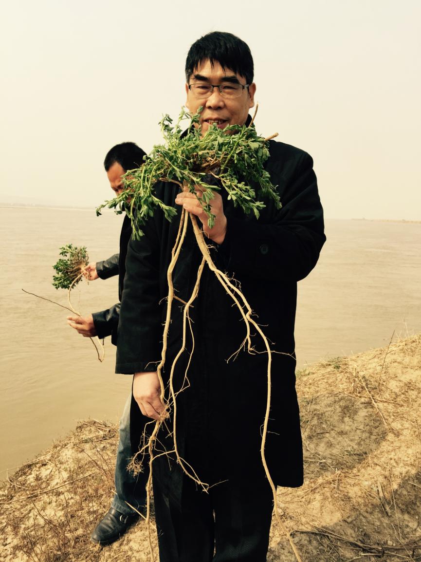 智博足球官网入口1919