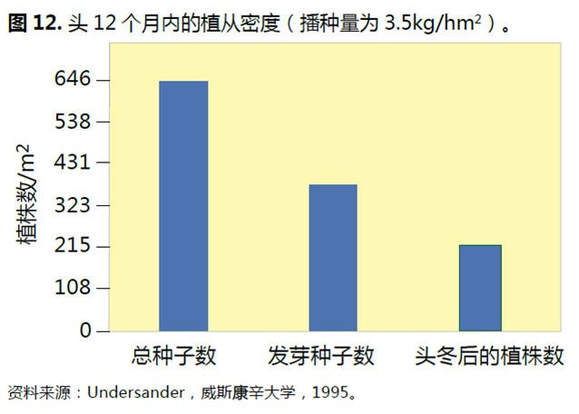 智博足球官网入口1919
