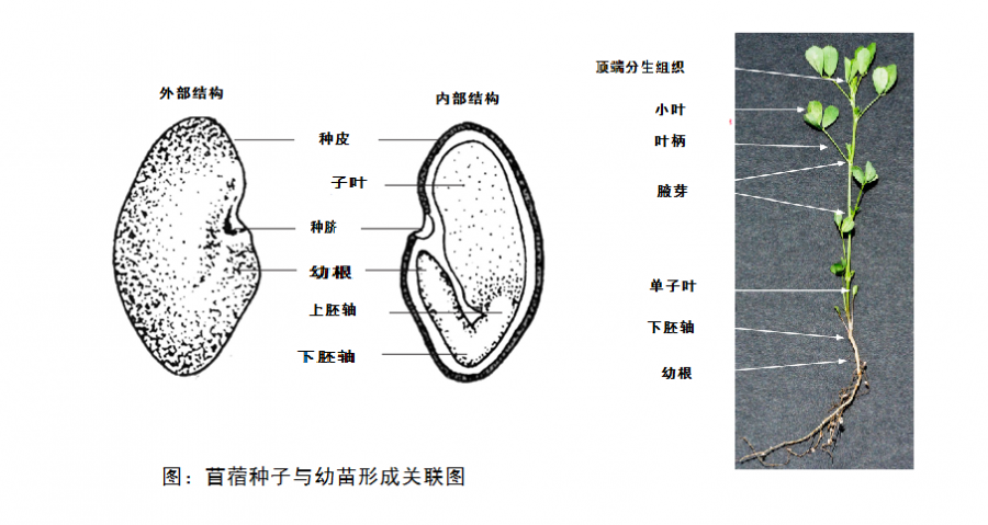 智博足球官网入口1919
