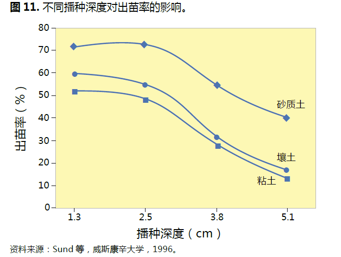 智博足球官网入口1919